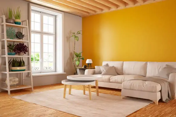 Rénovation salon